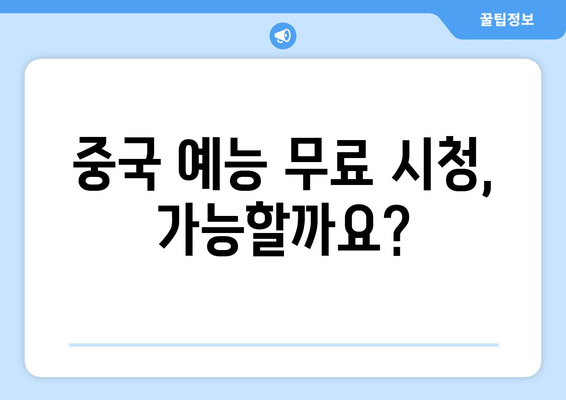 중국에서 인기 예능 시청 방법