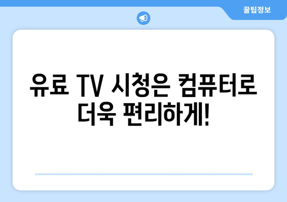 컴퓨터로 TV 무료 및 유료 시청: 사이트 추천