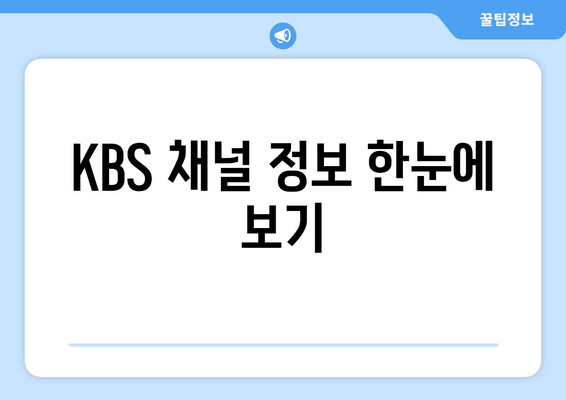 KBS 실시간 방송 시청 방법: 채널 정보 및 편성표 확인