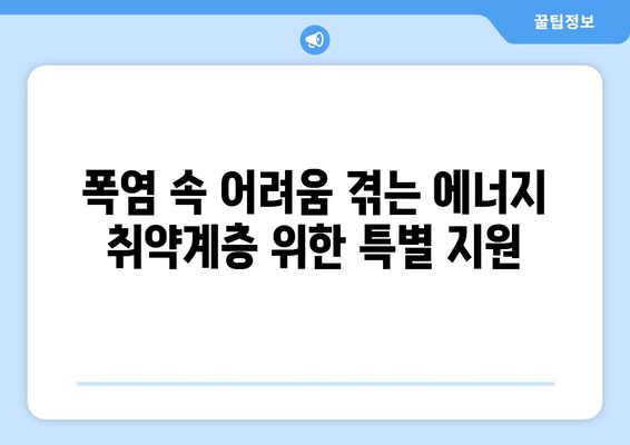 에너지 취약계층 특별 지원, 전기 요금 할인과 냉방기기 보급