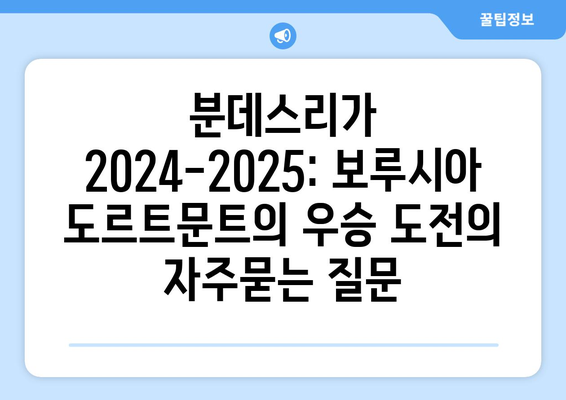 분데스리가 2024-2025: 보루시아 도르트문트의 우승 도전