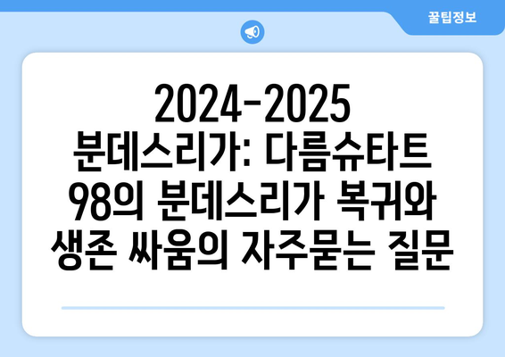 2024-2025 분데스리가: 다름슈타트 98의 분데스리가 복귀와 생존 싸움