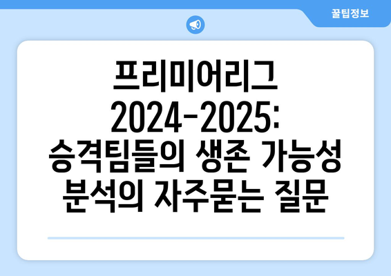 프리미어리그 2024-2025: 승격팀들의 생존 가능성 분석