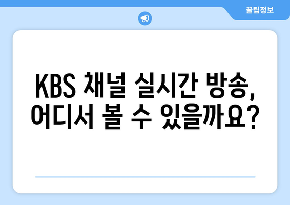 KBS 실시간 방송 시청 방법: 채널 정보와 편성표