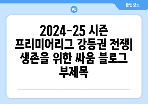 2024-25 시즌 프리미어리그 강등권 전쟁: 생존을 위한 싸움