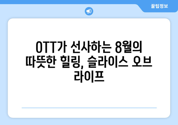 소소한 일상의 드라마: 8월 OTT 슬라이스 오브 라이프