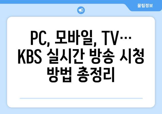 KBS 실시간 방송 시청 방법: 채널 정보와 편성표