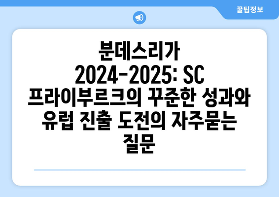 분데스리가 2024-2025: SC 프라이부르크의 꾸준한 성과와 유럽 진출 도전