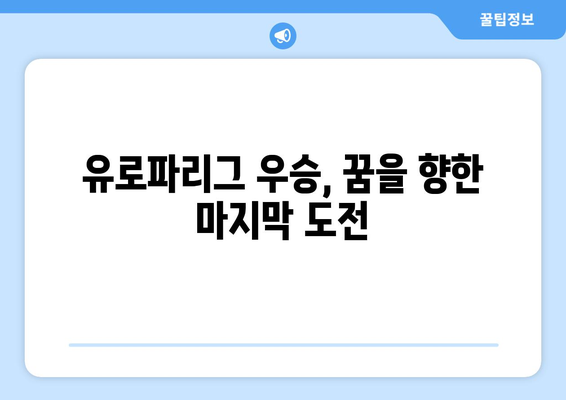 2024-2025 유로파리그 결승: 영광과 챔피언스리그 진출권을 향한 싸움