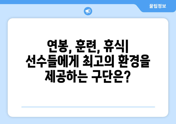 프리미어리그 2024-25: 최고의 선수 복지 제도는?