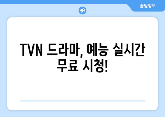 TVN 무료 실시간 시청 방법 소개