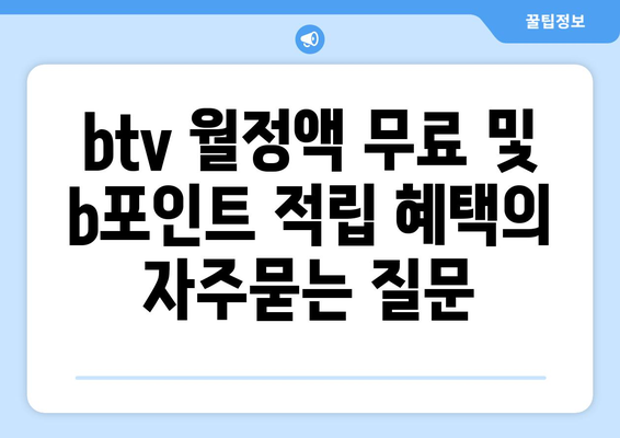 btv 월정액 무료 및 b포인트 적립 혜택