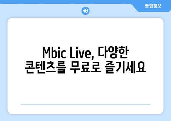 MBC 콘텐츠 무료 시청 꿀팁: Mbic Live 사용 가이드