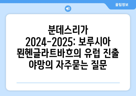 분데스리가 2024-2025: 보루시아 묀헨글라트바흐의 유럽 진출 야망