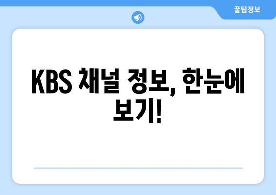 KBS 실시간 방송 시청 방법, 채널 정보, 편성표 확인