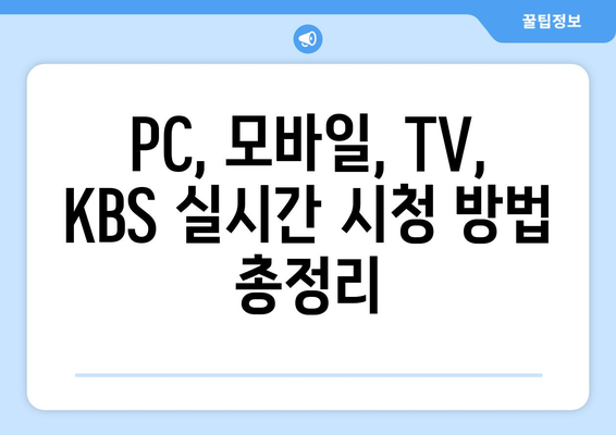 KBS 실시간 방송 시청 방법: 채널 정보와 편성표 안내