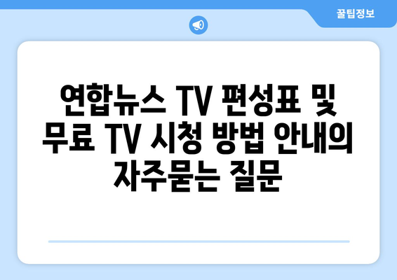 연합뉴스 TV 편성표 및 무료 TV 시청 방법 안내