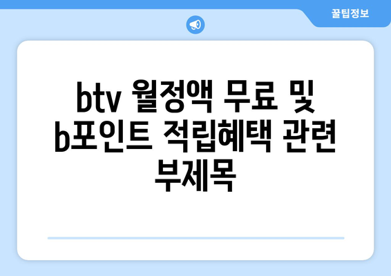 btv 월정액 무료 및 b포인트 적립혜택