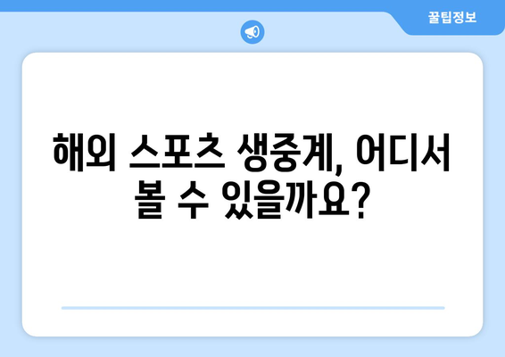 무료 해외 스포츠 중계 시청 방법