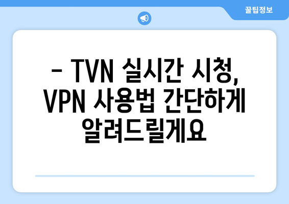 TVN 실시간 무료 시청 방법: VPN 및 올림픽 중계 시청까지