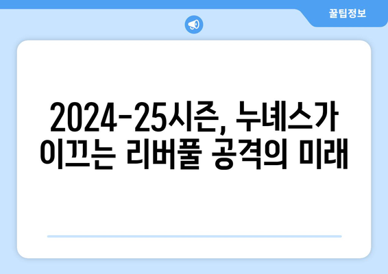 다르윈 누녜스 2024-25: 리버풀 공격의 새로운 핵심