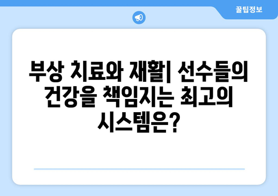 프리미어리그 2024-25: 최고의 선수 복지 제도는?