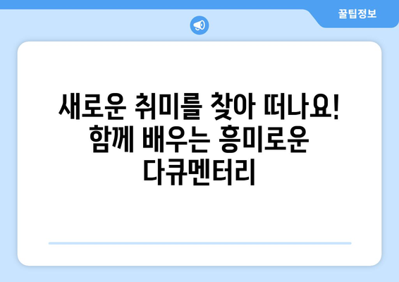 온 가족이 함께 볼 수 있는 8월 OTT 콘텐츠