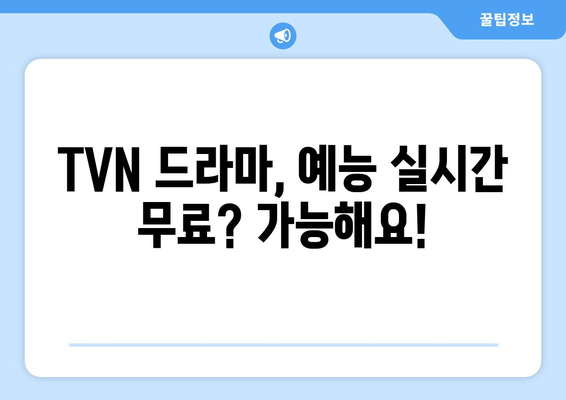 실시간 TVN 무료 시청 방법 소개