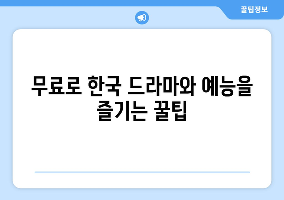 미국에서 한국 드라마와 예능 무료로 즐기는 방법