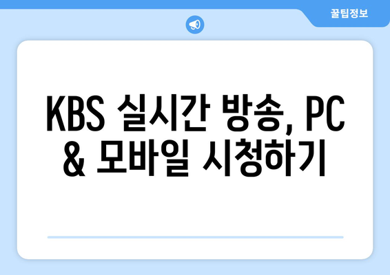 KBS 실시간 방송 시청 방법, 채널 정보, 편성표 확인