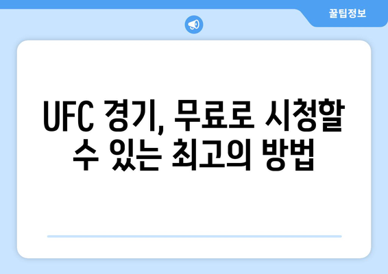 UFC 중계 방송 무료 시청 방법 알아보기