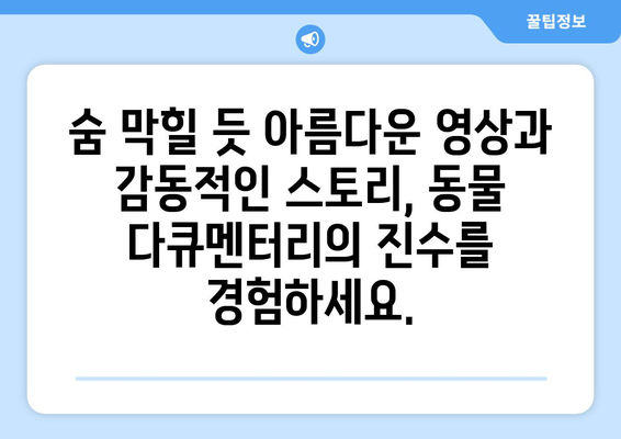 디즈니플러스 8월 동물 다큐멘터리 영화 컬렉션