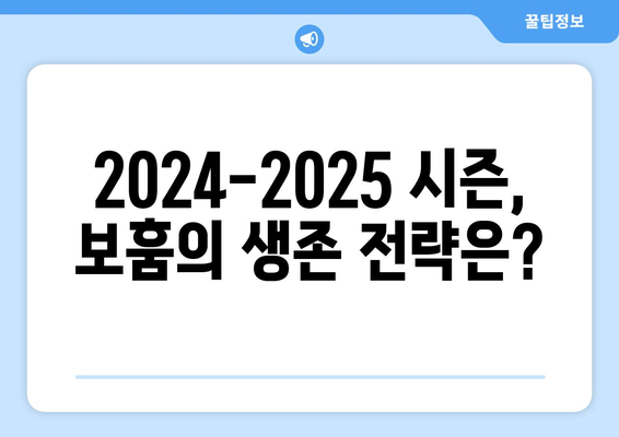 2024-2025 분데스리가: VfL 보훔의 분데스리가 모험 계속