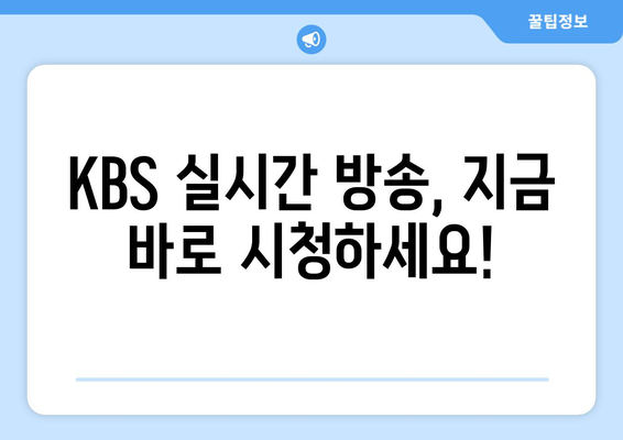 KBS 실시간 방송 시청 방법: 채널 정보 및 편성표 확인