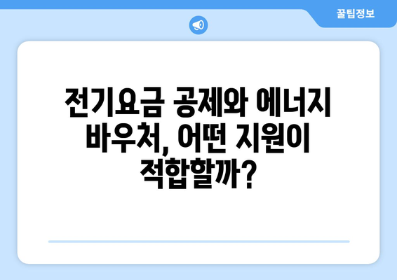 에너지 취약계층 지원 수단, 전기요금 공제와 에너지 바우처 제공