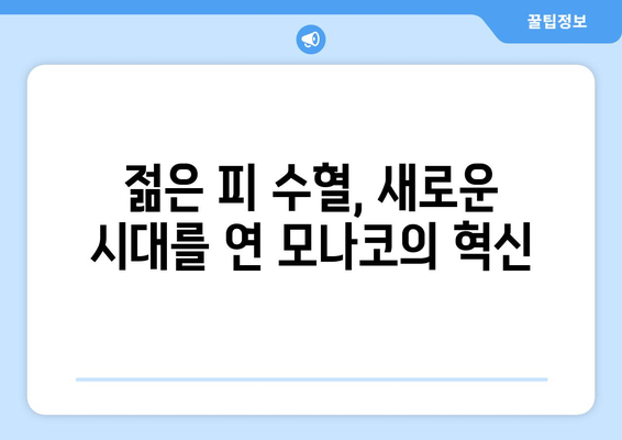 리그 1 2024-2025: 모나코의 부활과 톱3 진입 야망