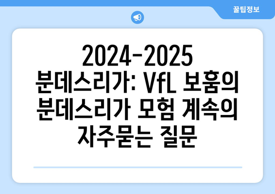 2024-2025 분데스리가: VfL 보훔의 분데스리가 모험 계속