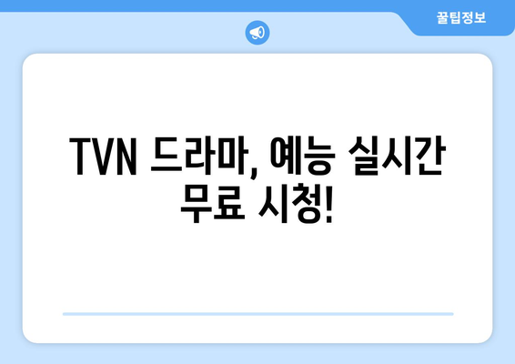 TVN 무료 실시간 시청방법 소개