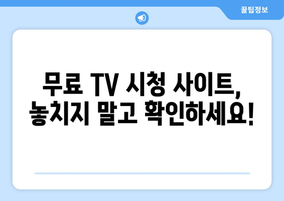 컴퓨터로 TV 무료 및 유료 시청: 사이트 추천