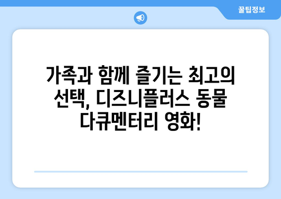 디즈니플러스 8월 동물 다큐멘터리 영화 컬렉션