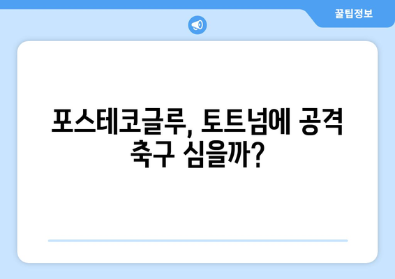 토트넘 홋스퍼 2024-25: 포스테코글루 감독의 공격 축구 완성도는?