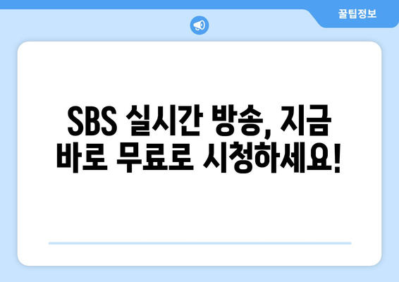 SBS 무료 TV 시청 방법 알아보기