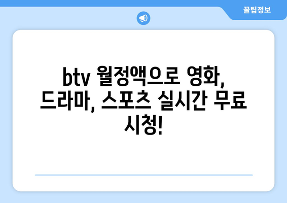 btv 월정액으로 무료 및 포인트 혜택 누리기