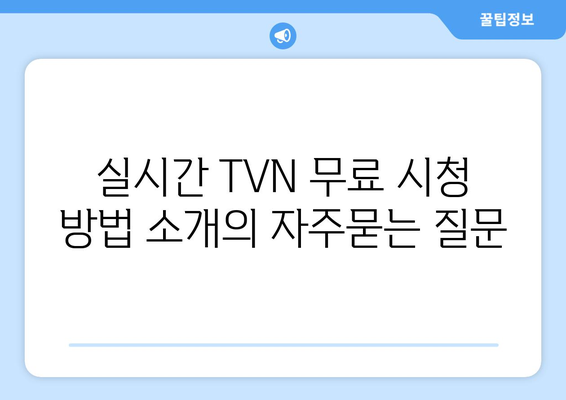 실시간 TVN 무료 시청 방법 소개