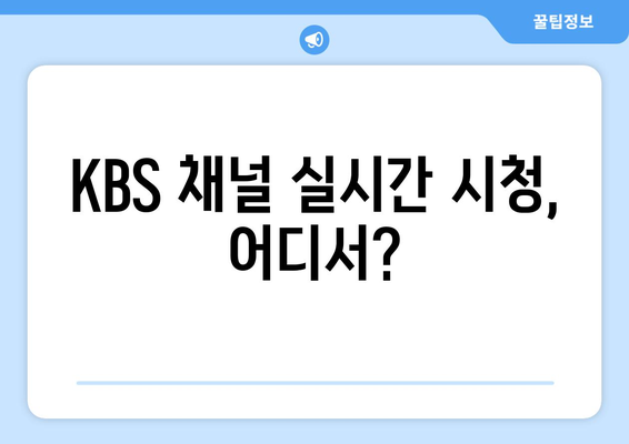 KBS 실시간 방송 시청 방법: 채널 정보와 편성표 안내