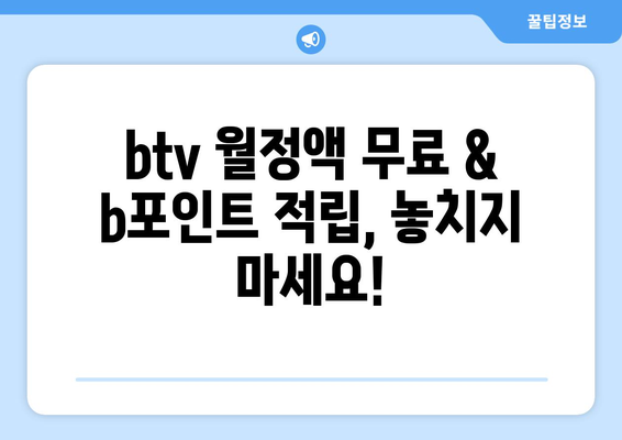 btv 월정액 무료 및 b포인트 적립 혜택