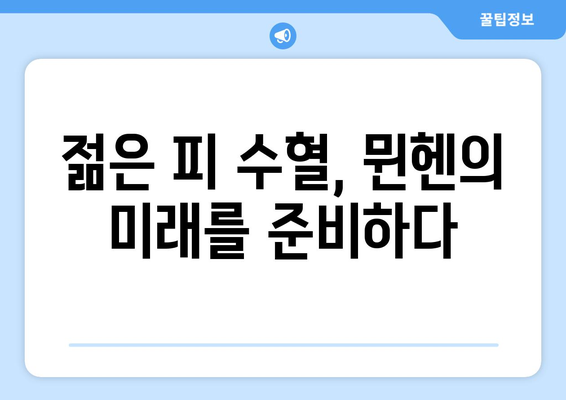 분데스리가 2024-2025: 바이에른 뮌헨의 연속 우승 도전