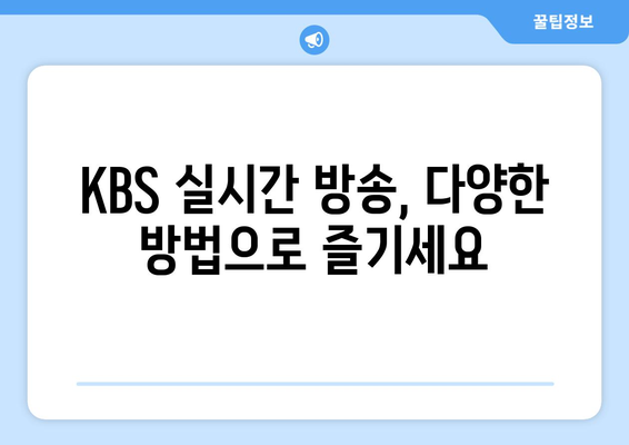 KBS 실시간 방송 시청 방법과 채널 정보, 편성표 확인하기