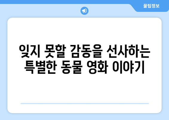 2024 8월 디즈니플러스 공개 동물 영화 라인업