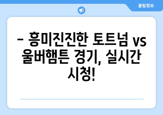 토트넘과 울버햄튼 리그 경기 중계 일정과 무료 시청 방법